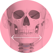 Bigonial Width image