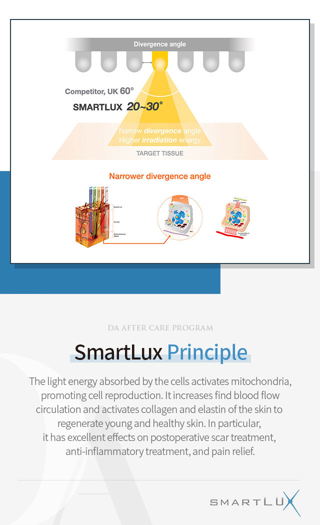 SmartLux Principle