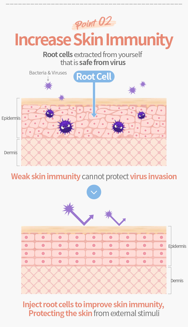 DA Root Cell Treatment