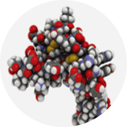 Growth Factors