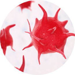 Platelets