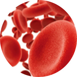 Red Blood Cells
