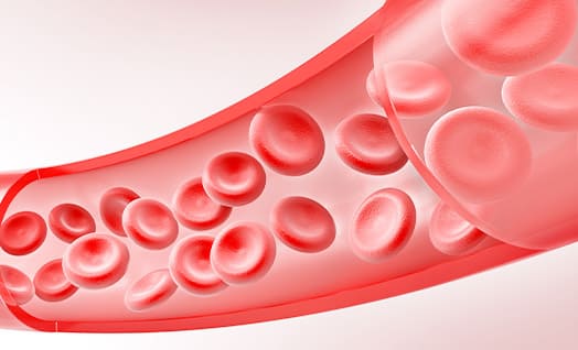 Intravenous Injection Image
