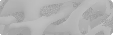 DA Signature Stem Cell Image
