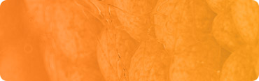 DA SVF Stem Cell Therapy