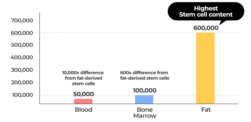 Up to 10,000 Times More Mesenchymal Stem Cells(MSCs) Compared to Blood & Bone Marrow table chart