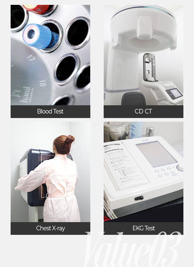 blood test /cd ct/ chest x-ray/ekg test