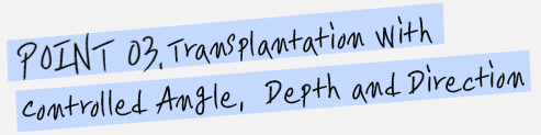 POINT03. Transplantation with controlled angle, depth and direction